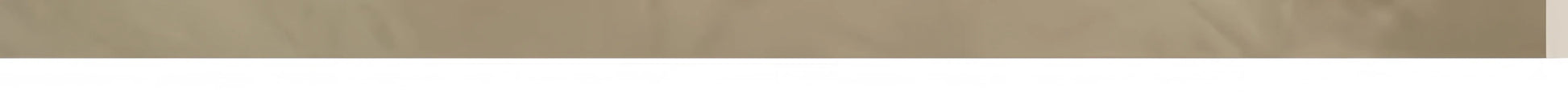 90X60CM Cat Litter Mat Waterproof Double Layer Pet Litter Box Mat Pet Toilet Cat Mat Nonslip Sand Cat Washable Mat Pet Clean