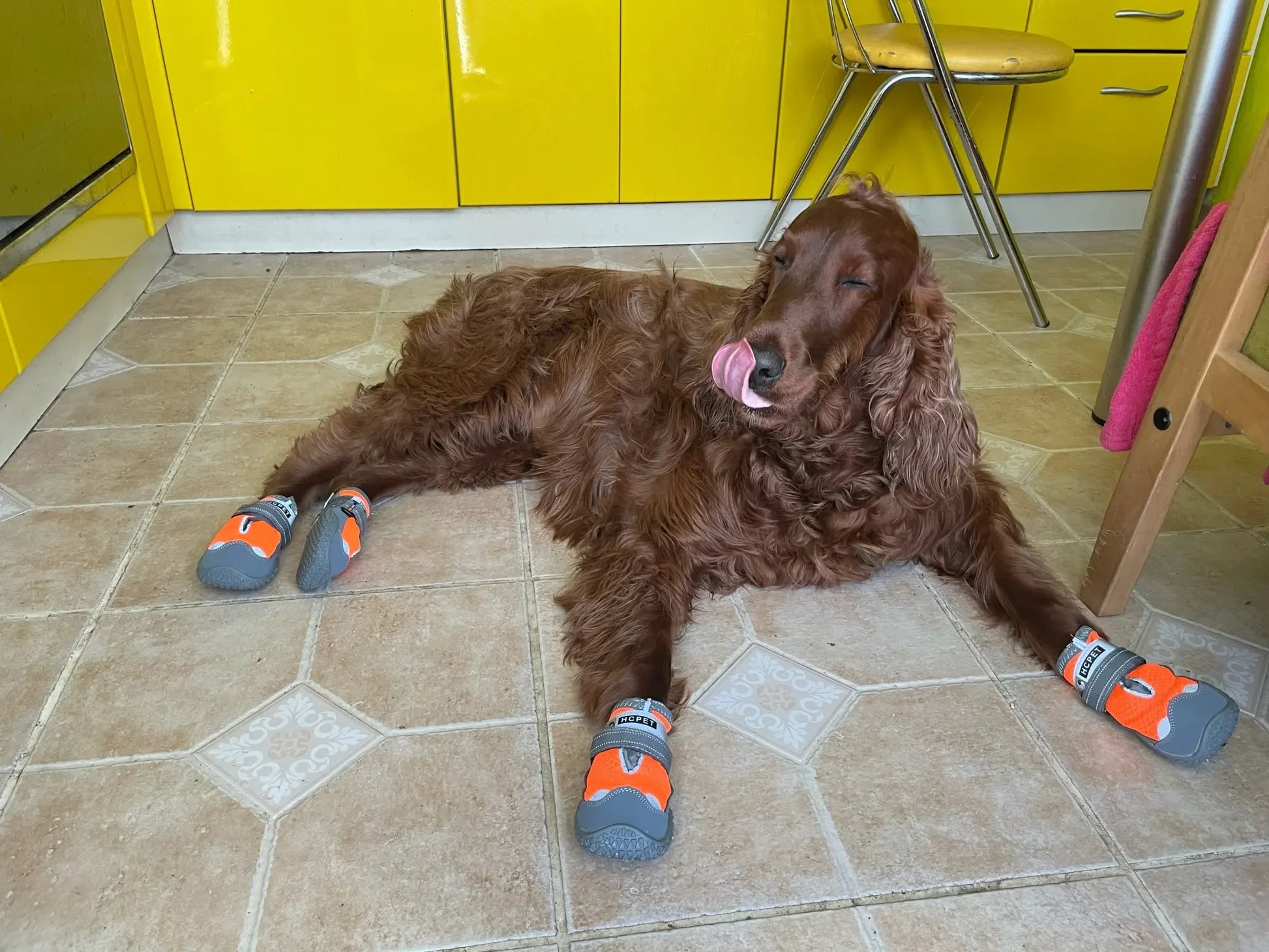 4Pcs/Set Dog Shoes for Large Dogs Breathable Professional Outdoor Dog Shoes Anti-Slip Durable Pet Shoes for Hiking Rubber Sole