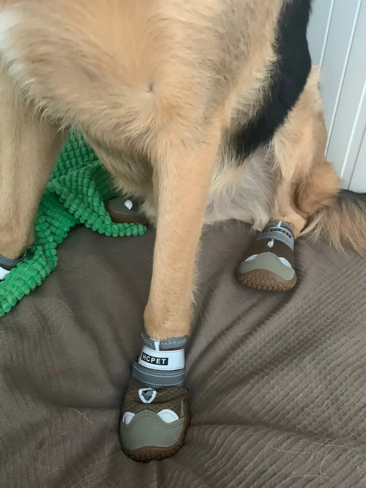 4Pcs/Set Dog Shoes for Large Dogs Breathable Professional Outdoor Dog Shoes Anti-Slip Durable Pet Shoes for Hiking Rubber Sole