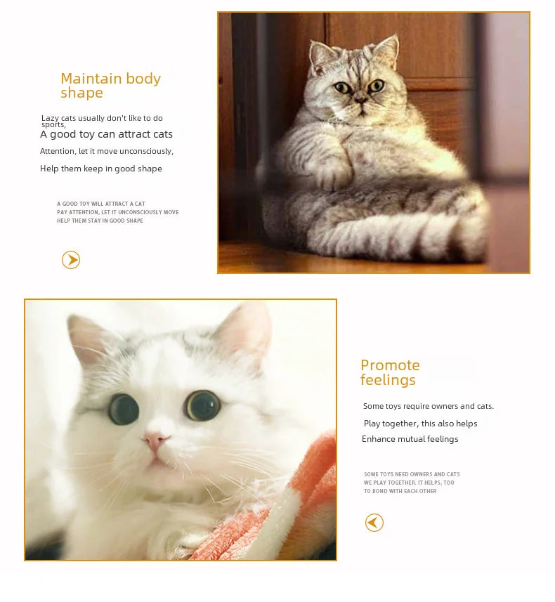 650g Rainbow Cat Toy Tunnel Playground Cats Scratching Running Interactive Teaser Toy Kittens Adult Cats