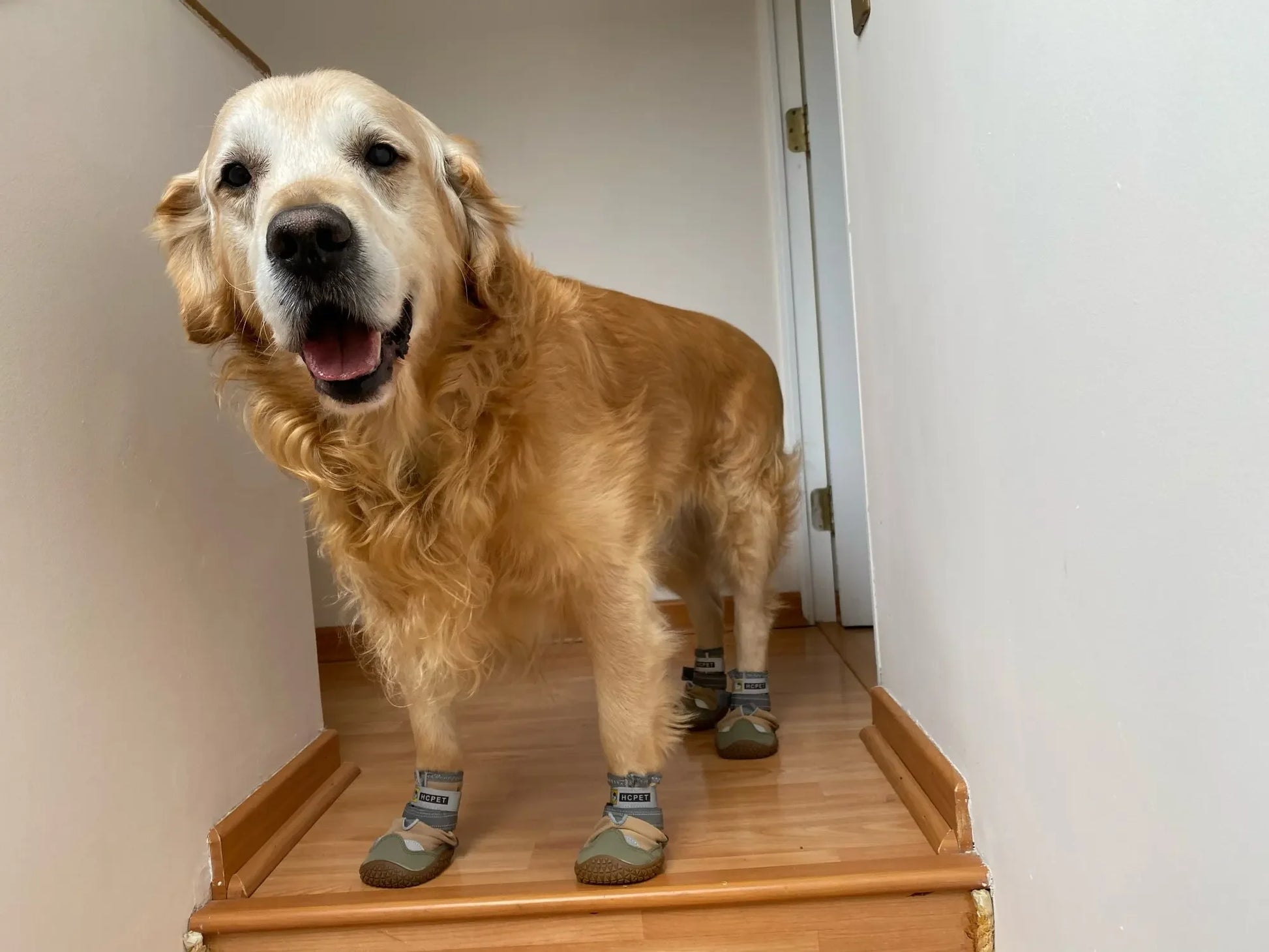 4Pcs/Set Dog Shoes for Large Dogs Breathable Professional Outdoor Dog Shoes Anti-Slip Durable Pet Shoes for Hiking Rubber Sole