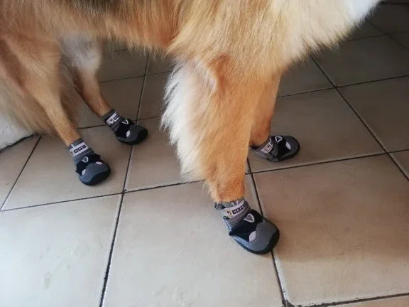 4Pcs/Set Dog Shoes for Large Dogs Breathable Professional Outdoor Dog Shoes Anti-Slip Durable Pet Shoes for Hiking Rubber Sole