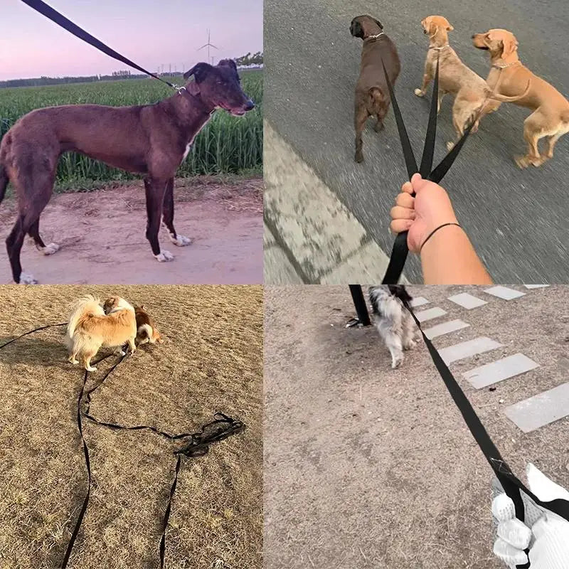 Long Nylon Pet Dog Leash For Small Big Dogs Cats Outdoor Hiking Puppy Lead Rope Durable Labrodor Traction Belt 1.5m 3m 10m 30m