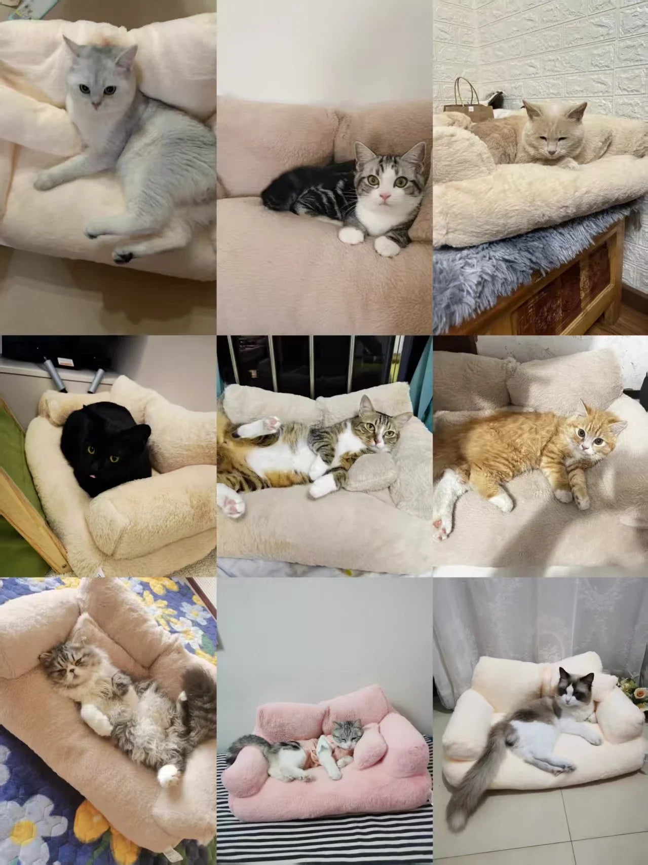 Universal Pet Bed for Winter Warm Cat Litter Sofa Bed Cushion Dog Kennel Large Supplies cat bed 【Send pillows】